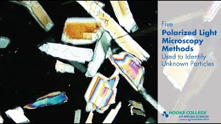 5 Polarized Light Microscopy Methods Used to Identify Unknown Particles [upl. by Noyad898]