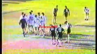 Talleres Remedios de Escalada 1  Arsenal de Sarandí 0 Nacional B 19931994 [upl. by Akenom]