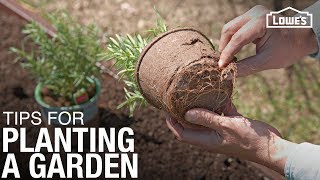 Tips and Tricks for How To Plant a Garden  Gardening Basics [upl. by Maryrose761]