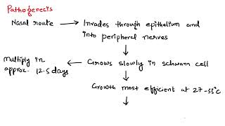 Leprosy  Pathophysiology  HindiEnglish mix [upl. by Liamaj293]