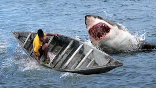 Shark Attack on Fishing Boat 8  A great White Shark Attack Short Movie [upl. by Eirot474]