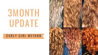 3 month update  Curly Girl Method  Curly Hair Journey 2018 [upl. by Alrahc788]