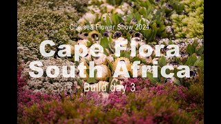 Chelsea Flower Show 2024 Day 3 Cape Flora [upl. by Ellehsyt867]