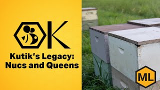 Kutiks Bees Nucs and Queens [upl. by Hound124]