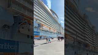 ALLURE OF THE SEAS 🫰 STARBOARD SIDE 😲 cruise cruiseship ofw seamans seamanslife shortvideo yt [upl. by Enidan]