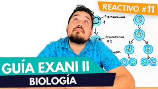 GUÍA EXANI II 🎓  Reactivo 11  Diagnostico  Biología  UV  UAEMEX  UADY  UAEH [upl. by Akerdal]