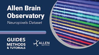 Allen Brain Observatory Neuropixels Dataset  Tutorial [upl. by Bibbye]