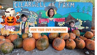 Clearwell Farm  Pick Your Own Pumpkins [upl. by Adav]