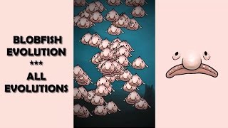 Blobfish Evolution  All Evolutions [upl. by Kerge]