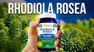 Rhodiola Rosea Benefits  MIRACLE Nootropic [upl. by Ramon]