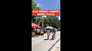 Dog Friendly Farmers Market Foods [upl. by Aliled]