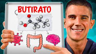 BUTIRATO impactantes CAMBIOS en tu INTESTINO y CEREBRO en POCOS DÍAS [upl. by Nedroj]