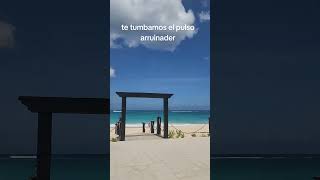 Abinader intento quitarnos los resort ese perro hijo de P [upl. by Yannodrahc23]