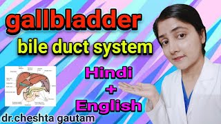 Anatomy  gallbladder and the bile duct system in hindi [upl. by Solange125]