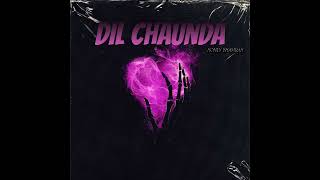 DIL CHAUNDA OFFICAL AUDIO HONEY BHAMRAH [upl. by Atinauq]