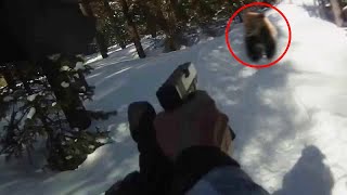 12 Bear Encounters That Went Horribly Wrong [upl. by Suelo]