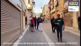 Vídeo resumen del mejor encierro de las fiestas de Cuéllar 2023 Ganadería Araúz de Robles [upl. by Samy918]