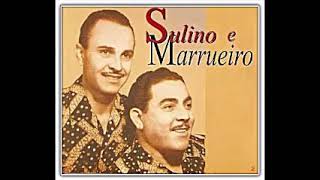 Sulino e Marrueiro 2 [upl. by Peterman306]