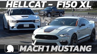 Ultimate Drag Race Mach 1 Mustang vs Hellcat Charger vs F150 XL [upl. by Shem]