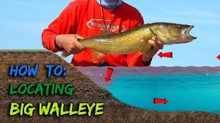 Locating BIG WALLEYE during LATE SUMMER [upl. by Penland]