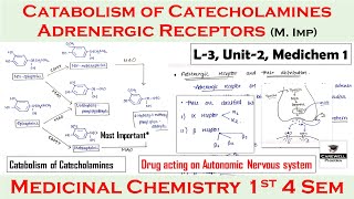 Adrenergic receptors  catabolism of catecholamines  synthesis amp release  L3 U2  medichem 1 4th [upl. by Ogdan]