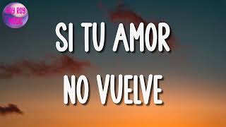 🎵 Banda Romántica Carin Leon  Si Tu Amor No Vuelve Letra\Lyrics [upl. by Ainnek136]