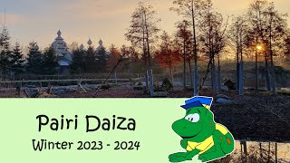 Pairi Daiza Winter 20232024 Wintertime [upl. by Artemisa835]