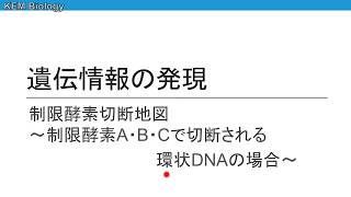 高校生物「制限酵素切断地図 ３種類の制限酵素で切断される環状DNAの場合」 [upl. by Chappell652]