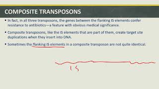 TRANSPOSITION PARTVI COMPOSITE TRANSPOSON [upl. by Aylmer827]