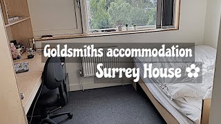 Surrey house room tour  Goldsmiths accommodation 🏠📚 [upl. by Ialocin734]