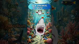 How Well Do You Know These AMAZING Sea Animals quiz shorts trivia [upl. by Ymot973]