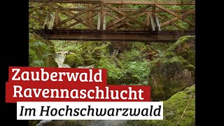 Zauberwald Ravennaschlucht [upl. by Falcone987]