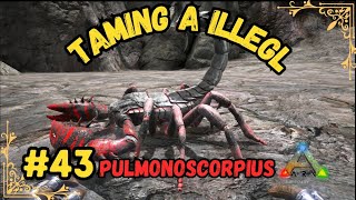 Taming A Illegal Pulmonoscorpius ARK MOBILESEASON 2PART 43 [upl. by Kelsi737]