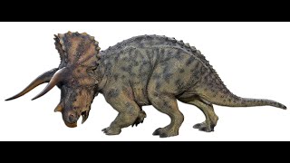 Triceratops Sound Effects Upload [upl. by Melquist]