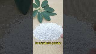 White Expanded Horticultural Perlite for Commercial Growers perlite gardening [upl. by Arinayed]