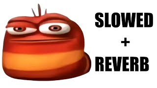 Oi Oi Oi Red Larva Slow  Reverb [upl. by Saffier]