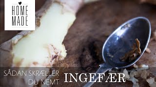 SÅ NEMT SKRÆLLER DU INGEFÆR  HOMEMADE [upl. by Ahsenak]