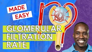 Glomerular Filtration Rate  But Easier to Understand [upl. by Dnalrag]