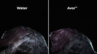 Avor Droplet Video [upl. by Agler]