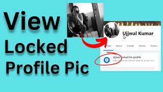 How to View Locked Profile Pictures on Facebook on PC 2024 [upl. by Katuscha]