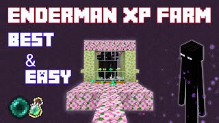 Best amp Easy Enderman Xp Farm In Minecraft PeBedrock 120  Enderman Xp Farm [upl. by Aiceila]