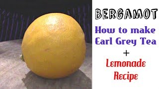 How Does Bergamot Essential Oil Help In Weight Loss [upl. by Kenlay912]