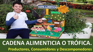 🌿🦁 Cadena alimenticia o trófica 🦐🍃 Productores consumidores y descomponedores  Maqueta [upl. by Childs]