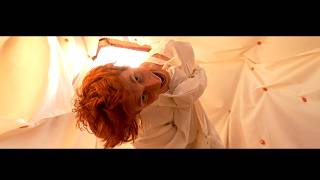 Peet Montzingo  CAROUSEL official music video [upl. by Feucht706]