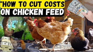 Tips to save on chicken feed [upl. by Soph]