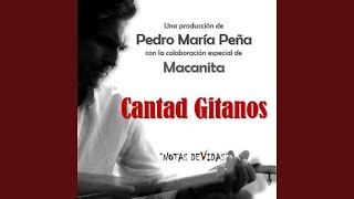 CANTAD GITANOS feat MACANITA [upl. by Suiramad]