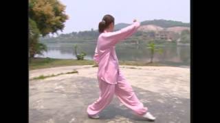 Cheng Style Bagua Zhang  Walking The Circle [upl. by Jordison]