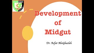 Development of Midgut [upl. by Drahcir791]