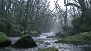 Ghost caught on camera in daylight on a Scottish river [upl. by Aekahs682]