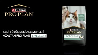 Kedi Tüyüne Hassasiyetiniz mi Var Pro Plan LiveClear Kedinizin Tüylerindeki Alerjenleri Azaltır [upl. by Aidnis929]